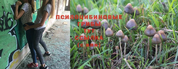 каннабис Арсеньев