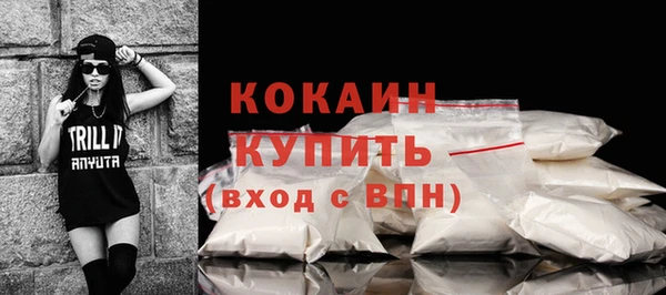 шишки Армянск