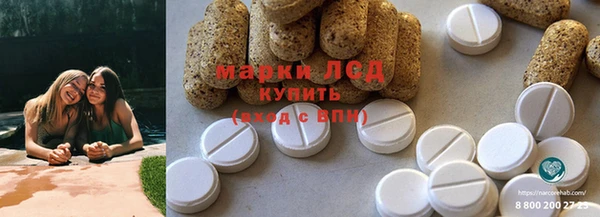 мяу мяу мука Михайловск