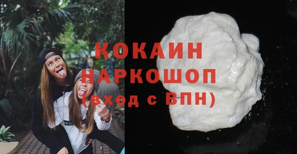шишки Армянск